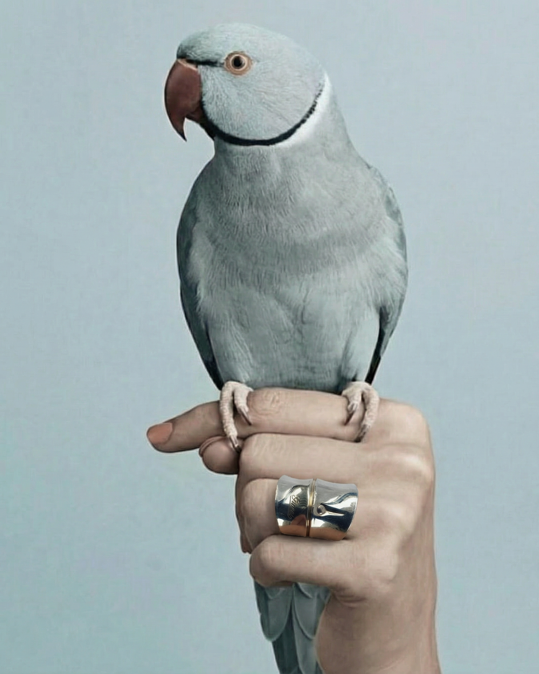 GUCCI Silver Bamboo Ring